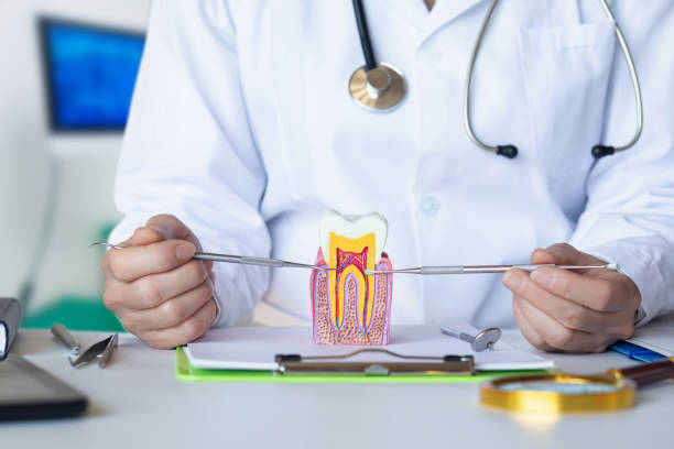 Best Emergency Dental Care for Broken or Chipped Teeth in Island Lake, IL
